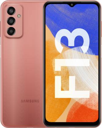 SAMSUNG Galaxy F13